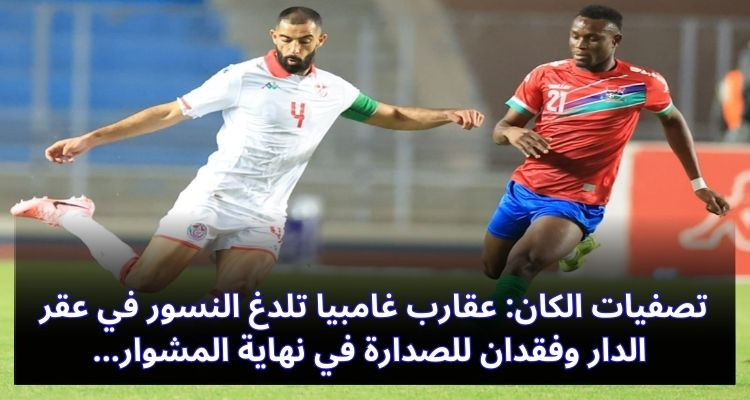 Les scorpions de Gambie piquent les aigles chez eux et perdent la tête en fin de parcours