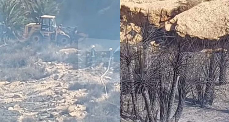 Maîtriser un incendie qui s'est déclaré dans l'oasis de Nakheel