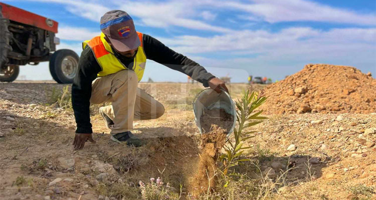 Lancer une campagne de plantation d'arbres pour la moitié du marathon n'est pas Djerba