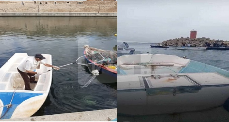 Les anciennes voiles portuaires à Bizerte exigent la colonie de leurs positions
