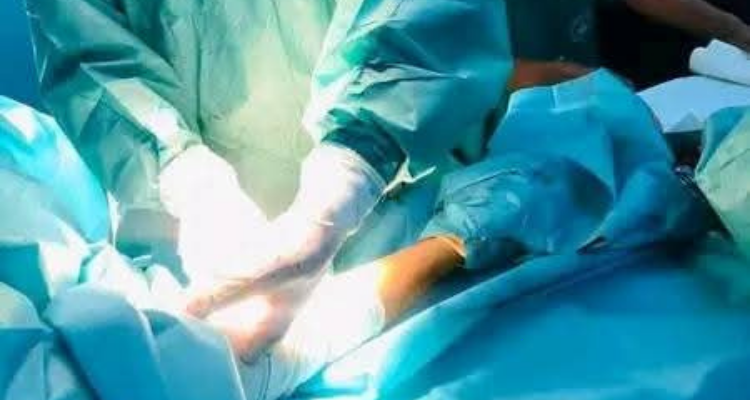 Pour la première fois à l'hôpital Benqardan: pistaches pour les patients souffrant d'insuffisance rénale