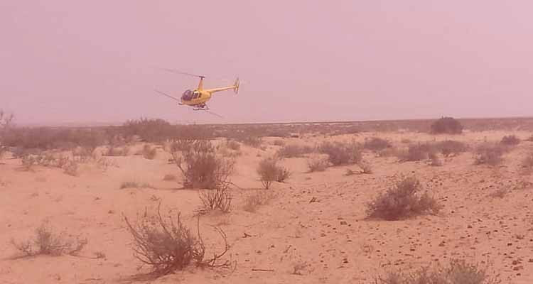 Pulvériser la pulvérisation des criquets du désert sur une superficie d'environ 2 400 hectares