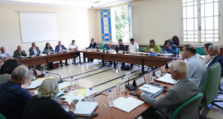 Un comité parlementaire continue d'examiner la proposition d'une loi qui concerne les diplômés de l'enseignement supérieur