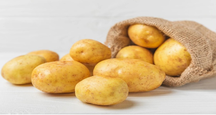 Plus de 4 tonnes de pommes de terre en matière