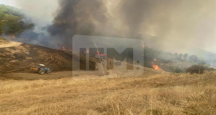 Contrôle de l'incendie du mont Siar et du déclenchement d'un nouvel incendie dans la forêt de noix