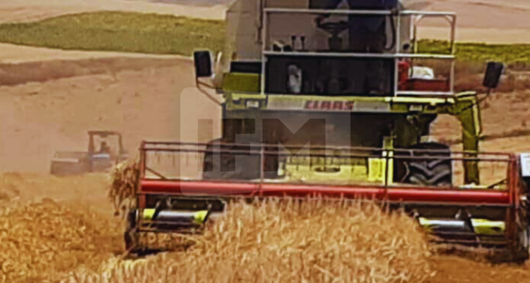 L'État de Beja est classé premier à l'échelle nationale par 23,62%