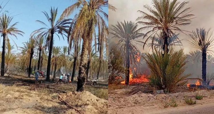 Le contrôle d'un incendie a éclaté dans l'oasis Fawar 2 connu sous le nom de l'oasis belge