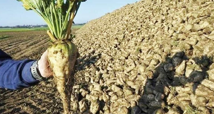 L'union régionale de l'agriculture nécessite de sauver le système de diabète