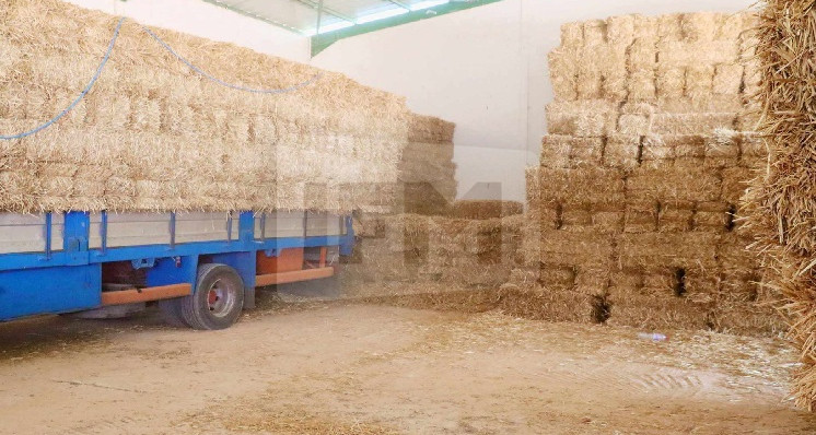 Stockez des quantités importantes d'aliments grossiers au profit de cette région