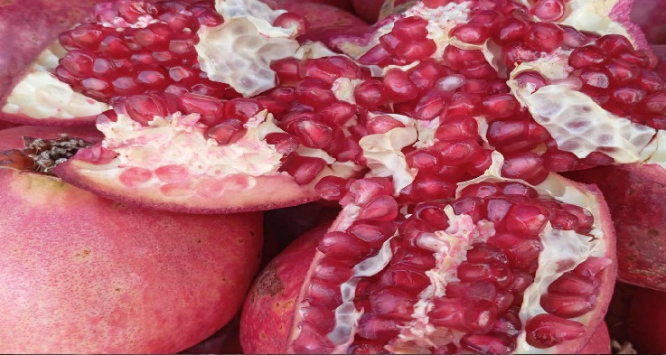 Il s'est retiré dans la blessure à la grenade et a amélioré la qualité du produit