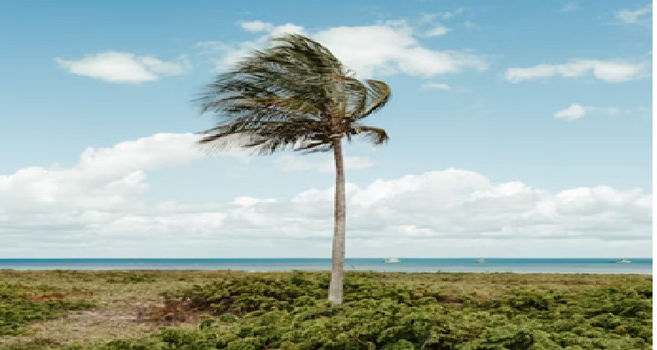 La chaleur est élevée avec l'apparition d'orages accompagnés de pluie dans ces entités