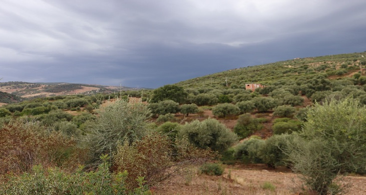 La date du début du barrage de Raghay fonctionne à Jendouba