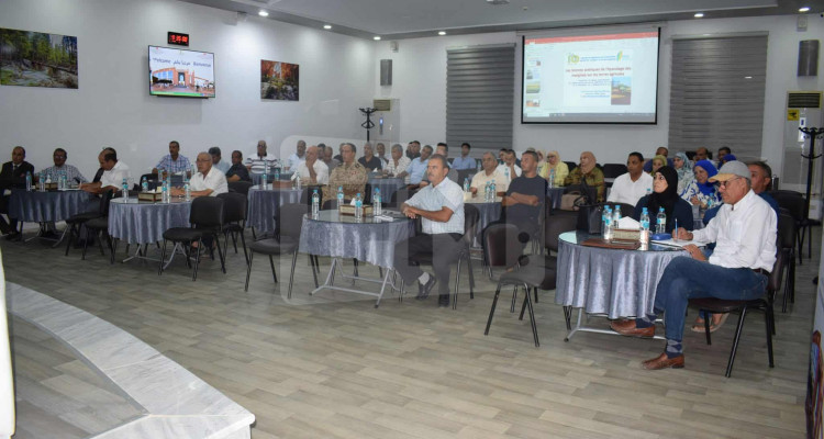 Les jours de médias sur le matelas se brossent sur les cartes