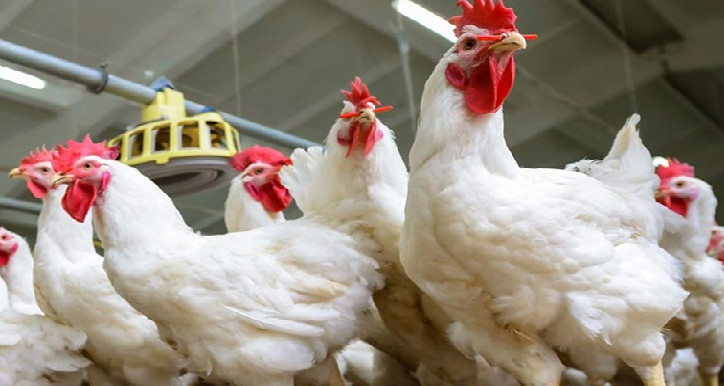 Établir la troisième entreprise privée régionale et prolongation dans ses délais d'abonnement