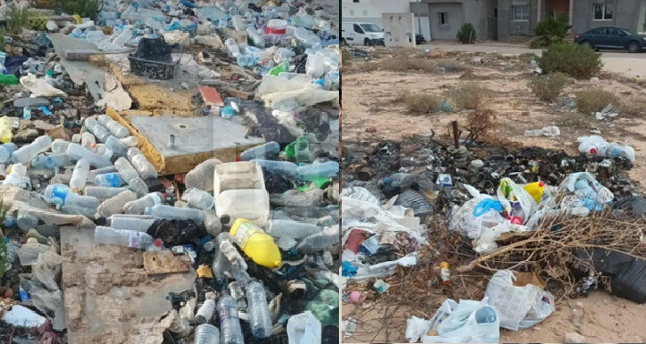 Plastic assiégeant la péninsule de Jargis