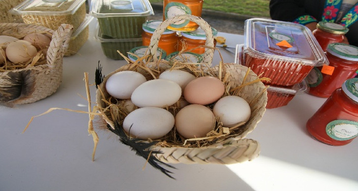 Création d'un point de vente du producteur au consommateur à l'occasion du Ramadan