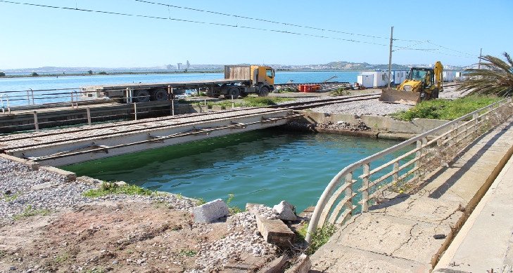 Le train reprend son activité, circulant sur toute la ligne tunisienne