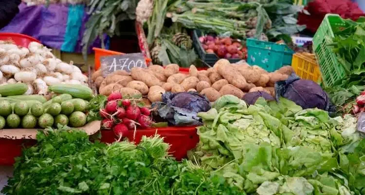 افتتاح نقطة بيع من المنتج إلى المستهلك بمدينة قابس